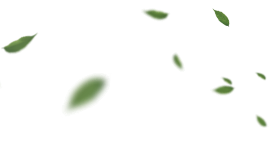 3D дизайн комнаты