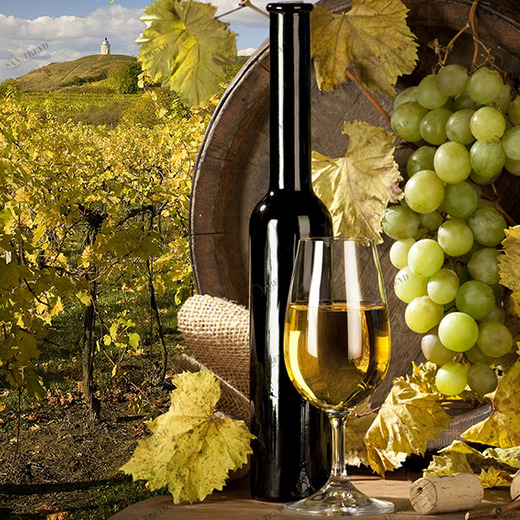 C1-305 Фотообои DIVINO Collection C 1.47х2 м C1305