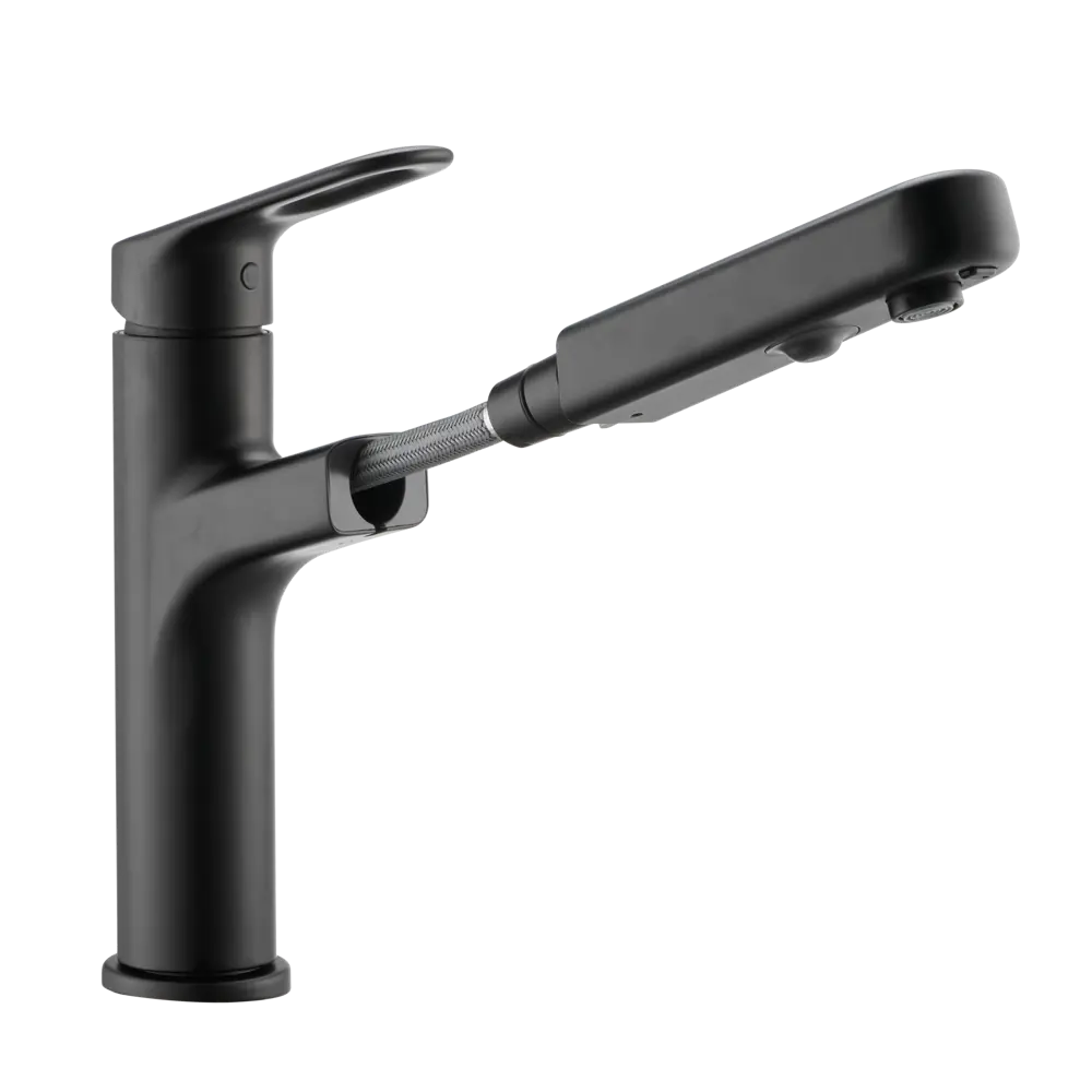 Кухонный смеситель DELINIA Icone чёрный матовый с аэратором 85317109 STLM-0871840 - Вид №2