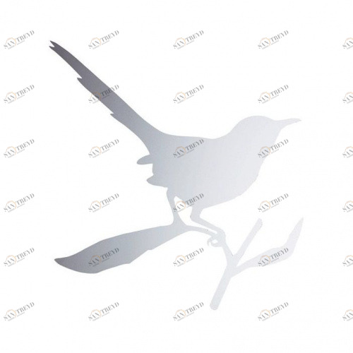 Зеркало / Taylor Bird Driade sun-id-374629