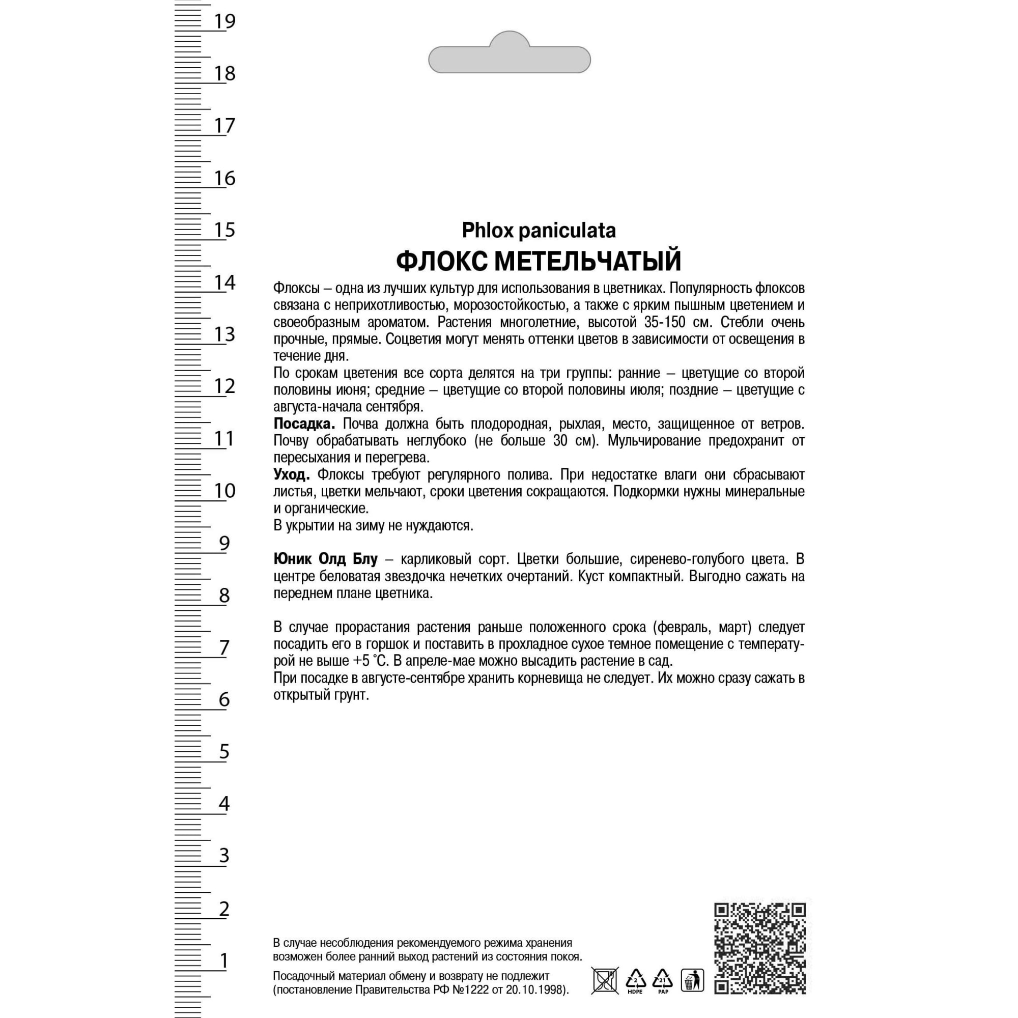 82530311 Флокс метельч Юник Олд Блу для Патио Santreyd  - Вид №1