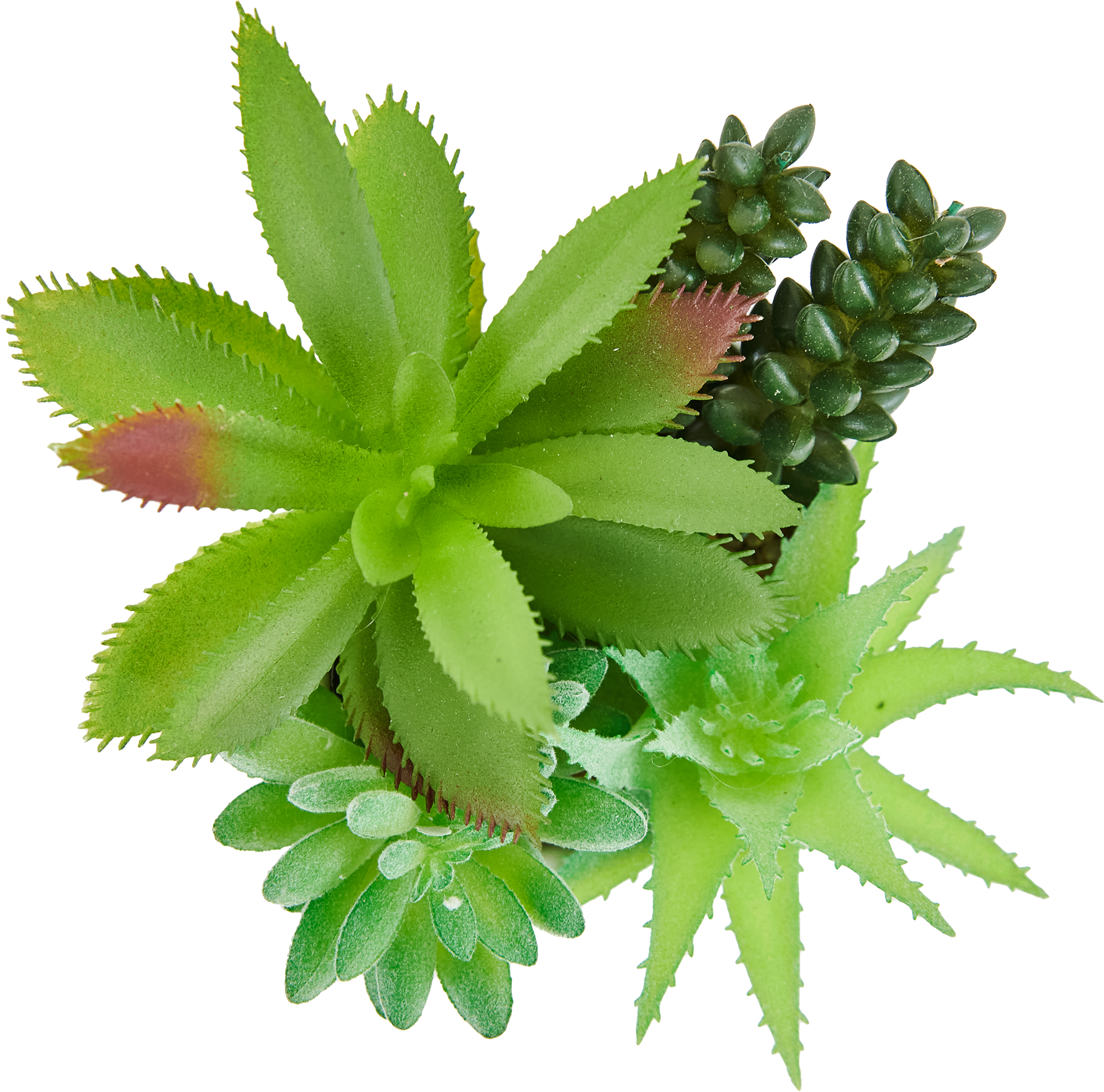 85826019 Искусственное растение Суккулент h14 см STLM-0065541 Santreyd  - Вид №1