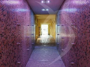 Happy Sauna Эмоциональный душ с ароматерапией с хромотерапией