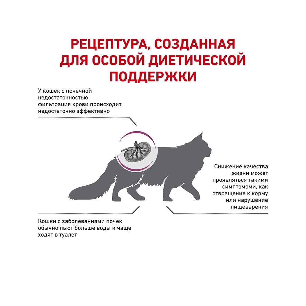 ПР0056389 Корм для кошек Vet Diet Renal RF23 при почечной недостаточности сух. 400г ROYAL CANIN  - Вид №2