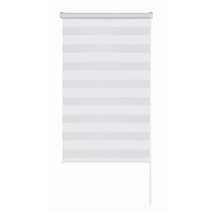 Рулонная штора день-ночь MIAMOZA Петер 70x160 см белая 89411381