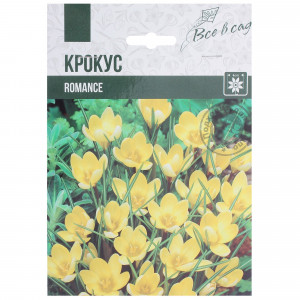 82004066 Крокус ботанический «Романс» 10 шт.