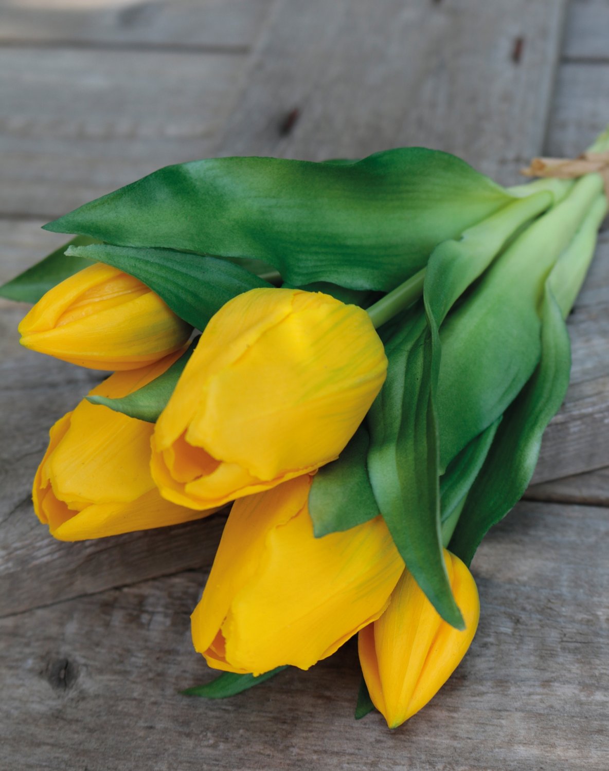 2941 330 a3 Шелковый букет тюльпанов, 5-кратный, 28 см, желтый H-andreas  - Вид №1