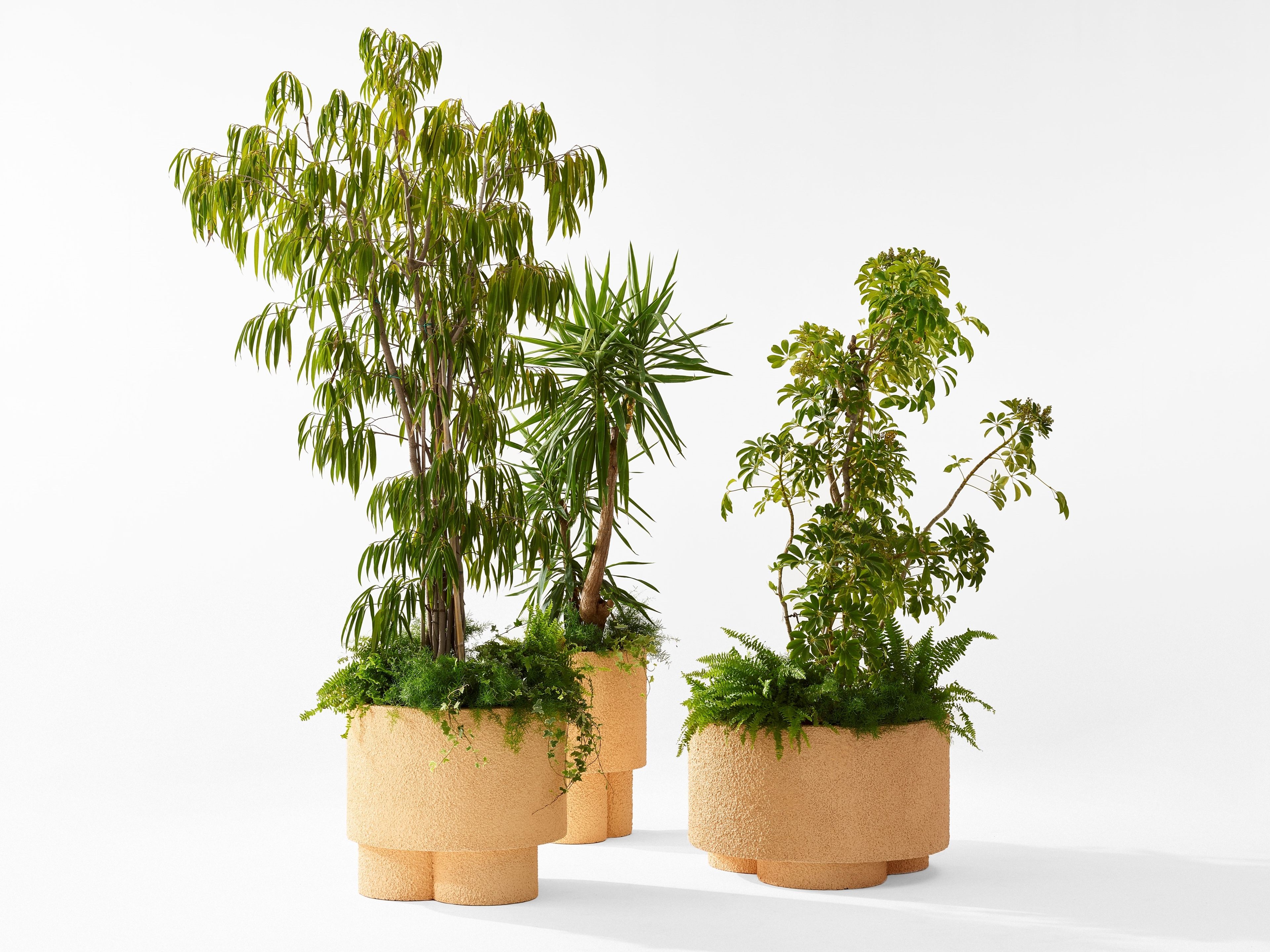 Садовый горшок в Cimento® ERASMO ARCH-00018369