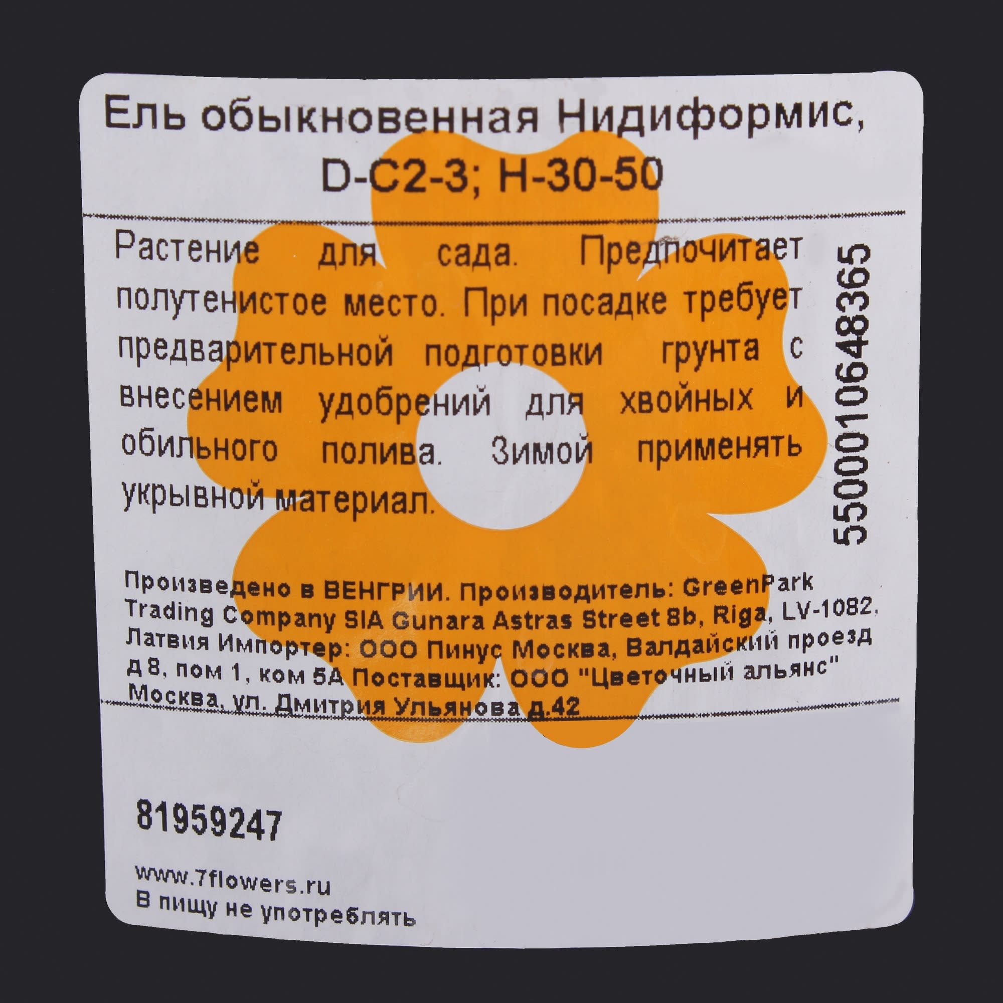 81959247 Ель обыкновенная «Нидиформис» С2-3/30-50 Santreyd  - Вид №1