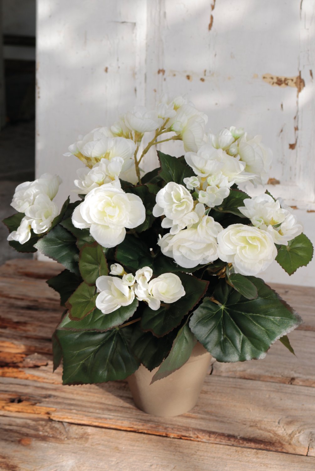 9715 777 a3 Бегония искусственная, горшечная, 30 см, белая H-andreas  - Вид №5