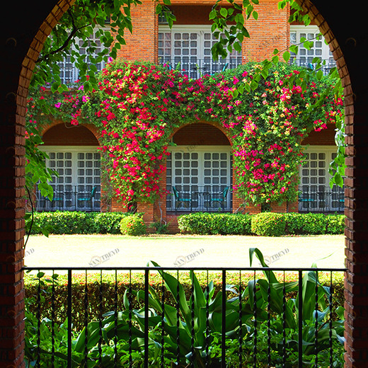 B1-057 Фотообои DIVINO Collection B 2.7х2 м B1057