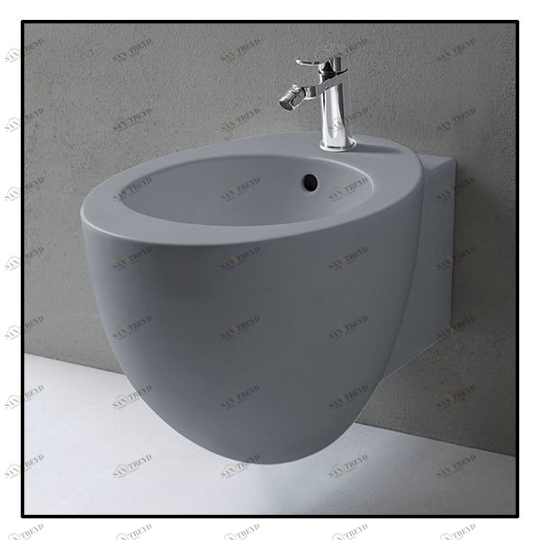 LGBSREVBR Биде подвесное Le Giare Ceramica Cielo