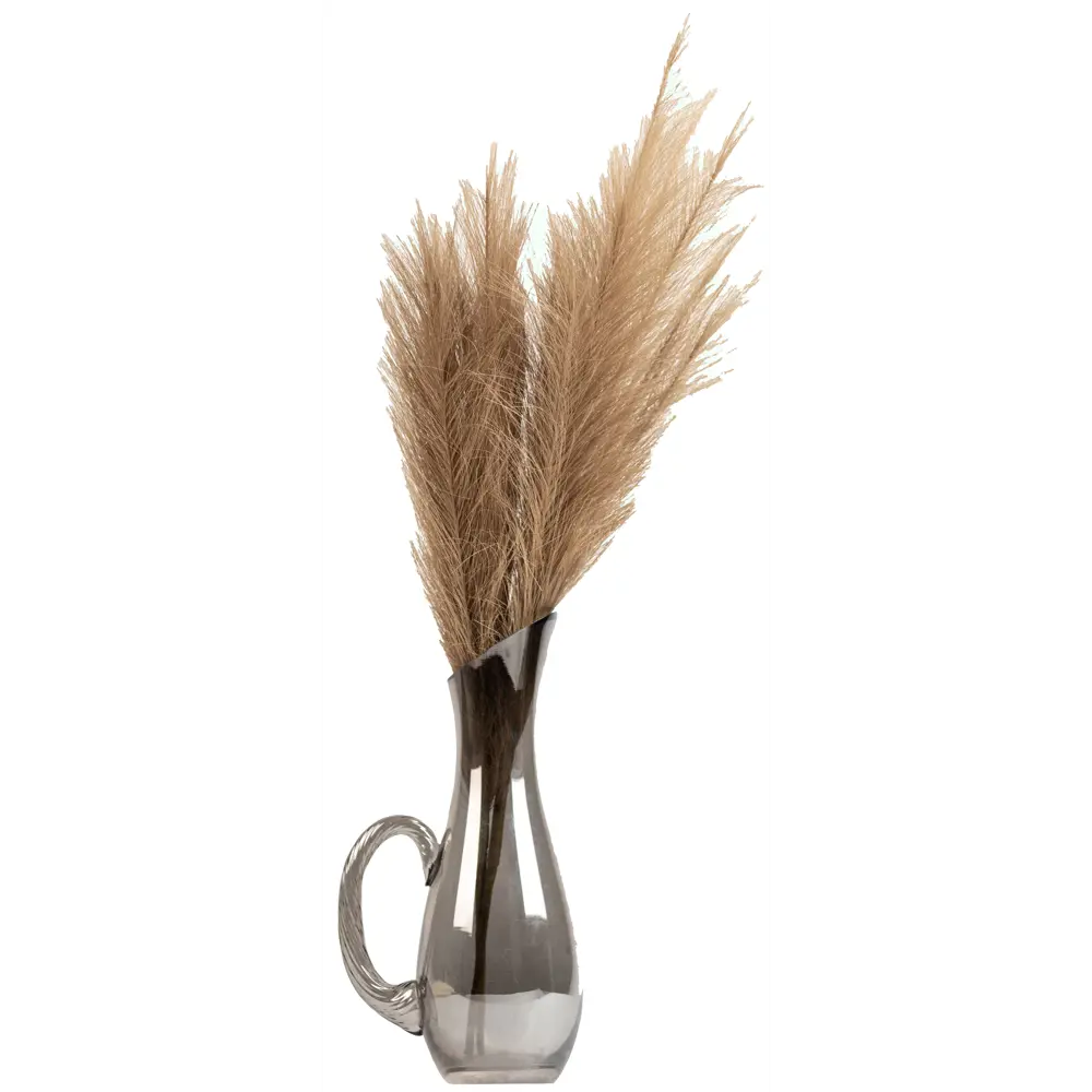 Декоративный сухоцвет 60 см светло-коричневый Santreyd STLM-2029454 - Вид №1
