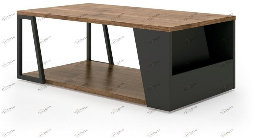 TemaHome Низкий деревянный журнальный столик с журнальной полкой Albi 9003.629938/21 