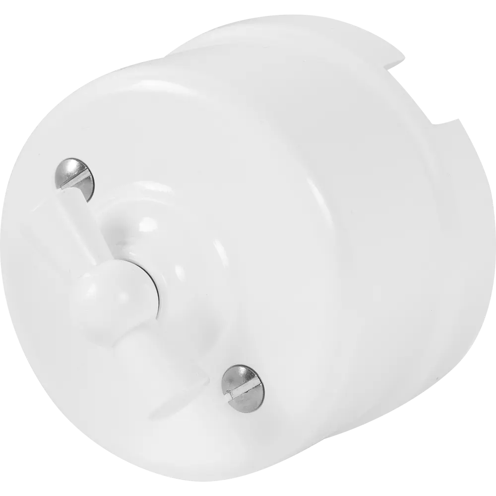 Выключатель Electraline Bironi ретро с поворотным механизмом для открытой проводки 82063837 STLM-0018567 - Вид №1