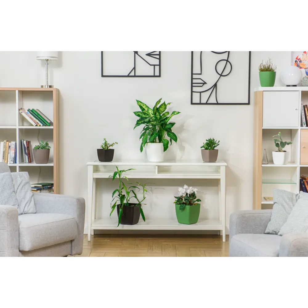 INGREEN Vienna — цветочный горшок для комнатных растений в оттенке горького шоколада 89356157 STLM-0961420 - Вид №2