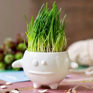 Набор для выращивания eco "Кру" ЭКОЧЕЛОВЕКИ  254572 Белый