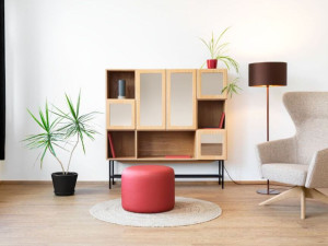 Шкаф из шпона с распашными дверями