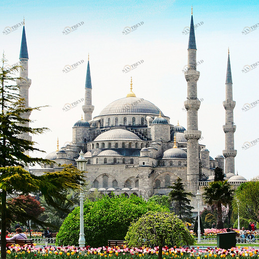 C1-173 Фотообои DIVINO Collection C 2.7х3 м C1173