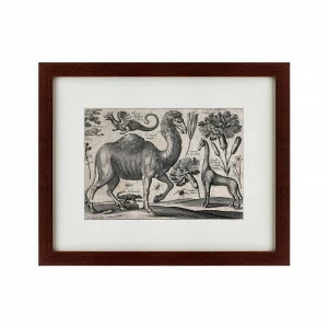 Литография на тонированной бумаге 42х52 см A camel, 1670 КАРТИНЫ В КВАРТИРУ  135679 Бежевый;белый;черный;разноцветный