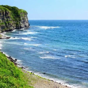 WP01095 Фотообои Verol Фотообои decoline 1х1 м