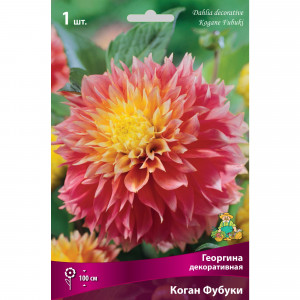 83593787 Георгина декоративная Коган Фубуки луковица I