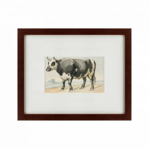 Литография на тонированной бумаге 42х52 см A Friesian bull, 1780 КАРТИНЫ В КВАРТИРУ  135681 Белый;коричневый;разноцветный