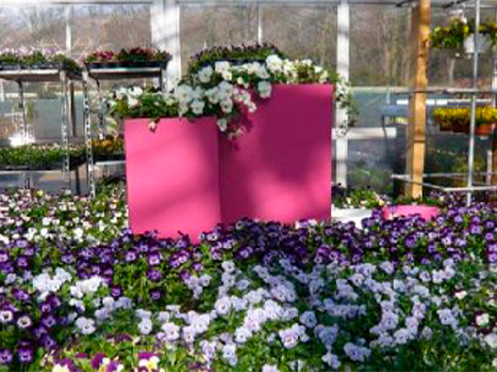 Кашпо коллекции "Бетула" ВD-02-51 100/50/50 ГеоПластБорд GPBST-60 - Вид №5