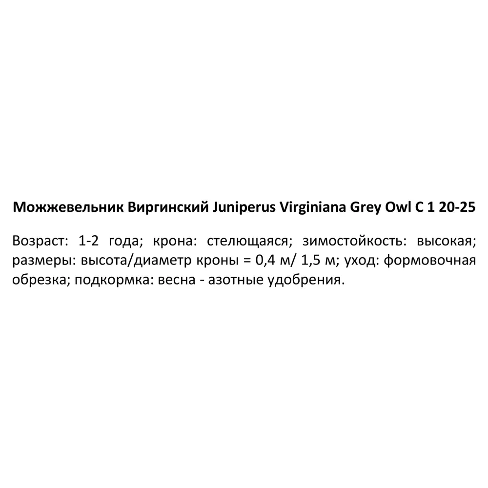 Можжевельник виргинский Грей Оул ø14 h35 см PLANTMARKET STLM-2090994 - Вид №2