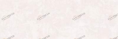 Город на воде серый светлый обрезной 12106R 25х75 Kerama Marazzi 