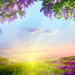 D1-001 Фотообои DIVINO Collection D 2.7х3 м