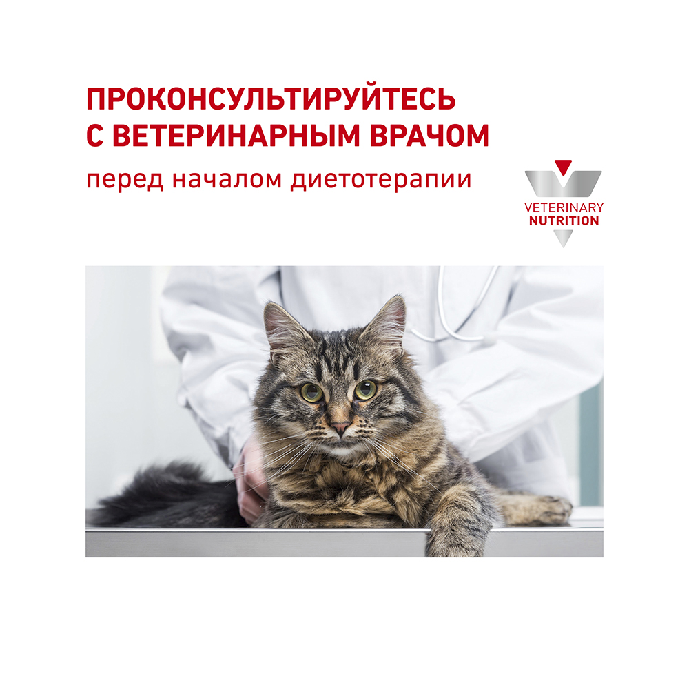 ПР0056389 Корм для кошек Vet Diet Renal RF23 при почечной недостаточности сух. 400г ROYAL CANIN  - Вид №8