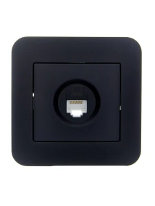 ASTI Розетка компьютерная чёрный бархат