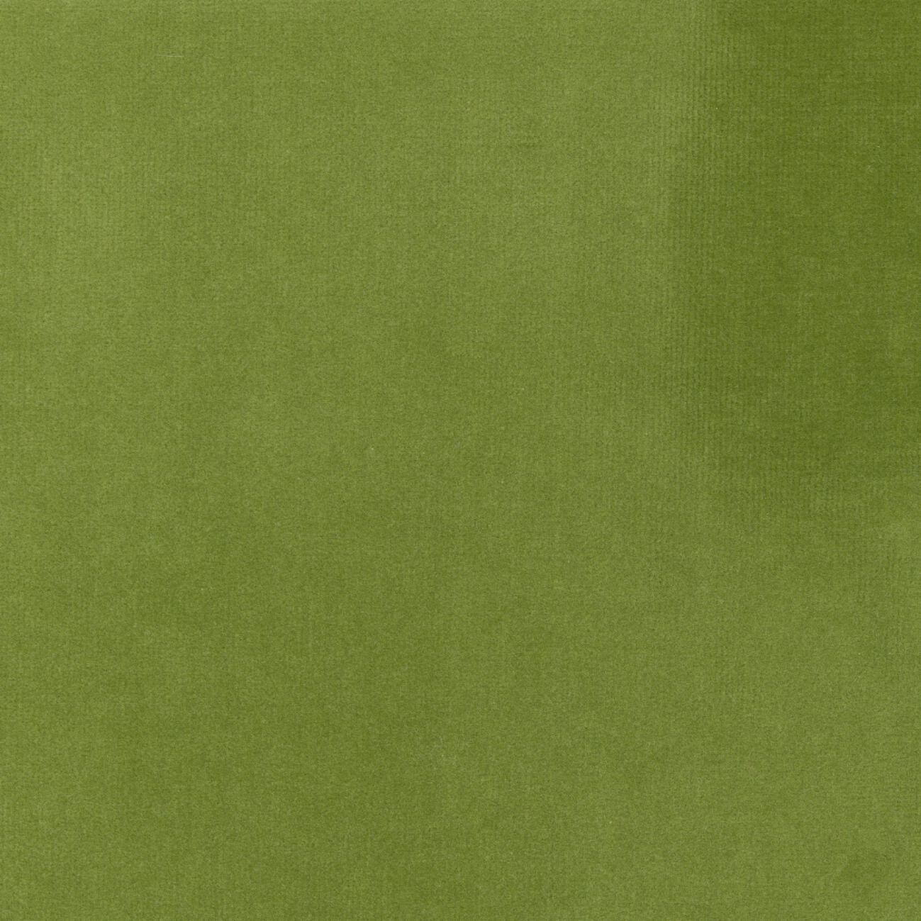 Бархатная однотонная ткань Élitis Palatine ARCH-00143253 - Вид №65