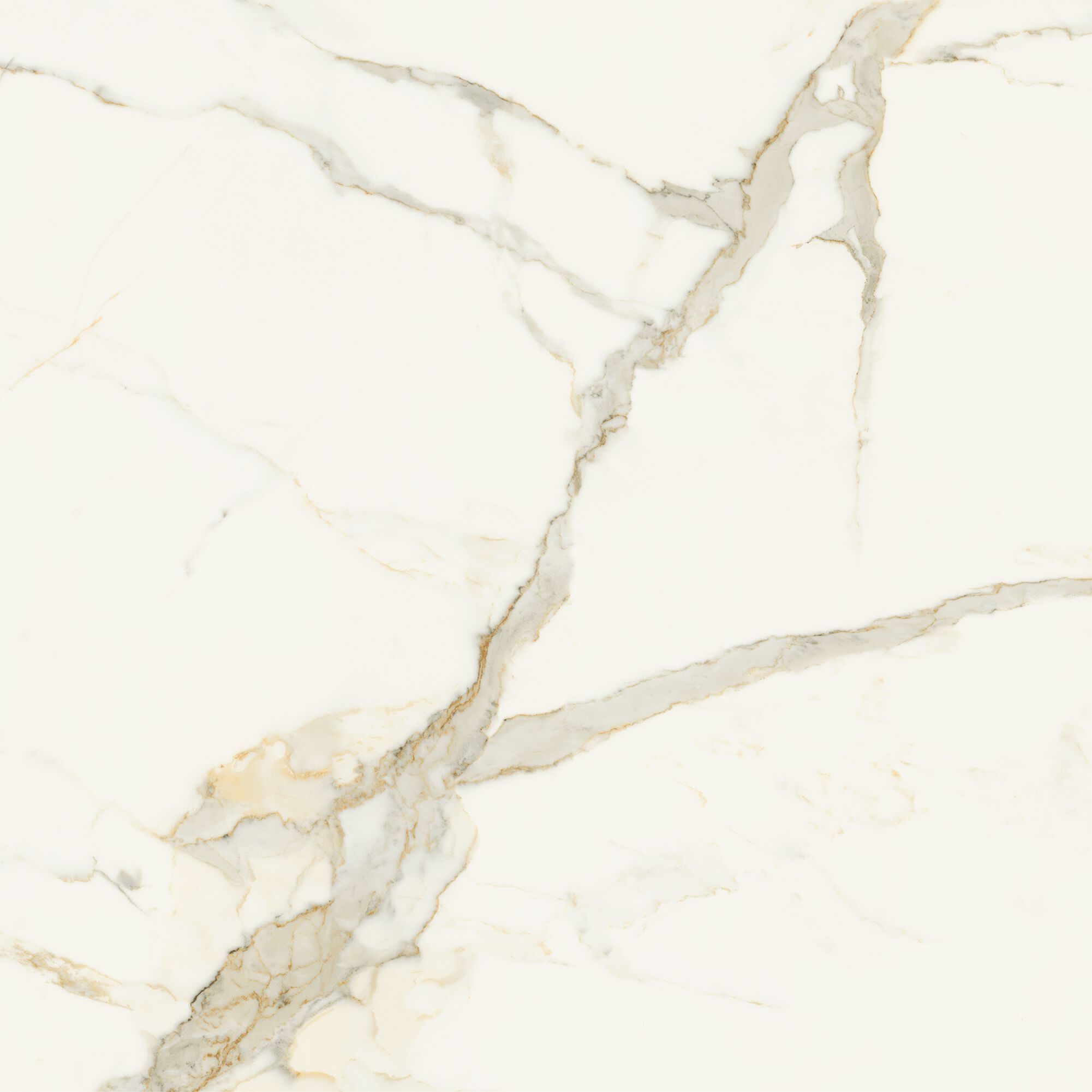 Пол / керамогранит с мраморным эффектом Marca Corona скульптурная ARCH-00115502 - Вид №13