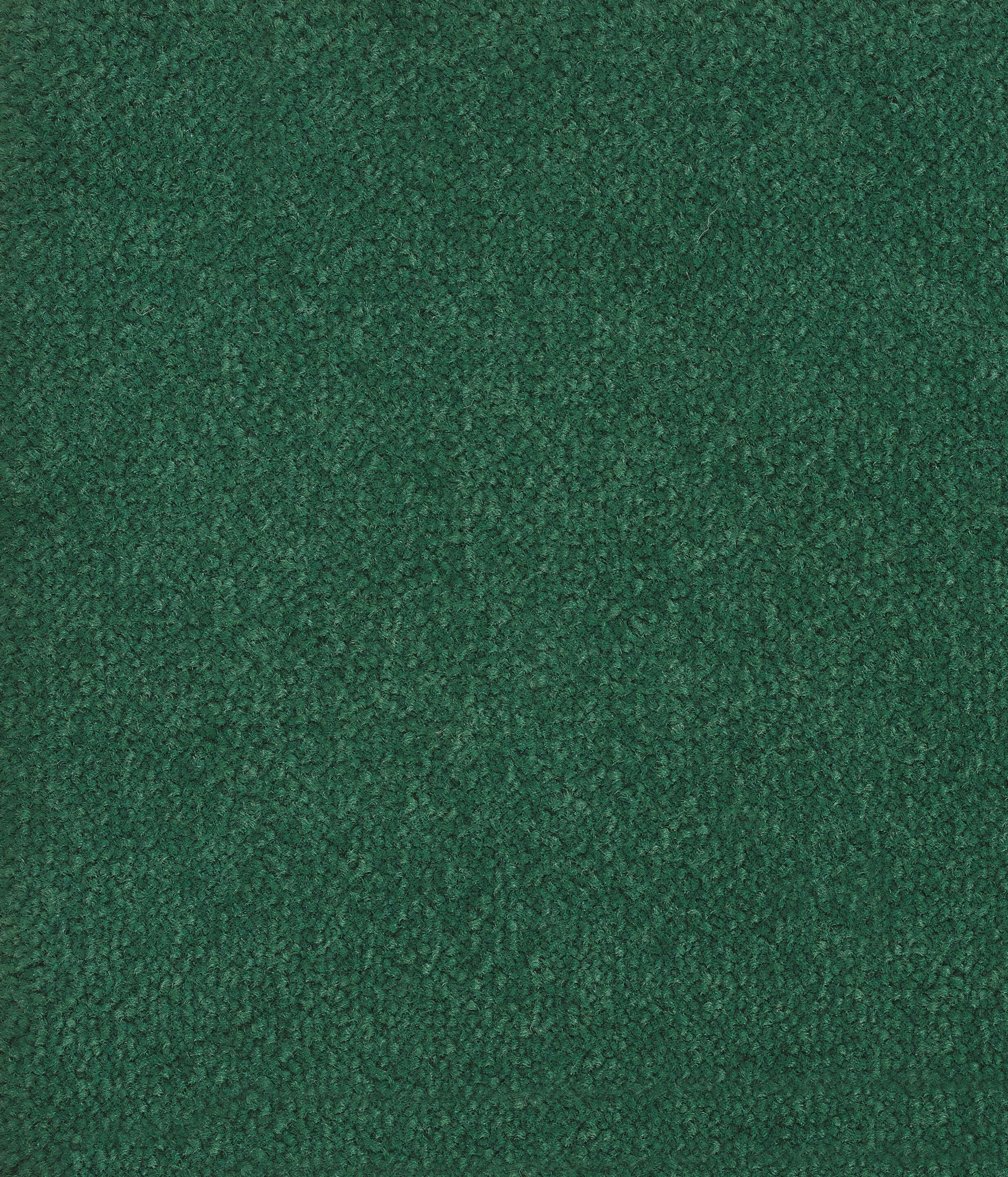 Перерабатываемый нейлоновый ковер Radici BLOOM ARCH-00060856 - Вид №21