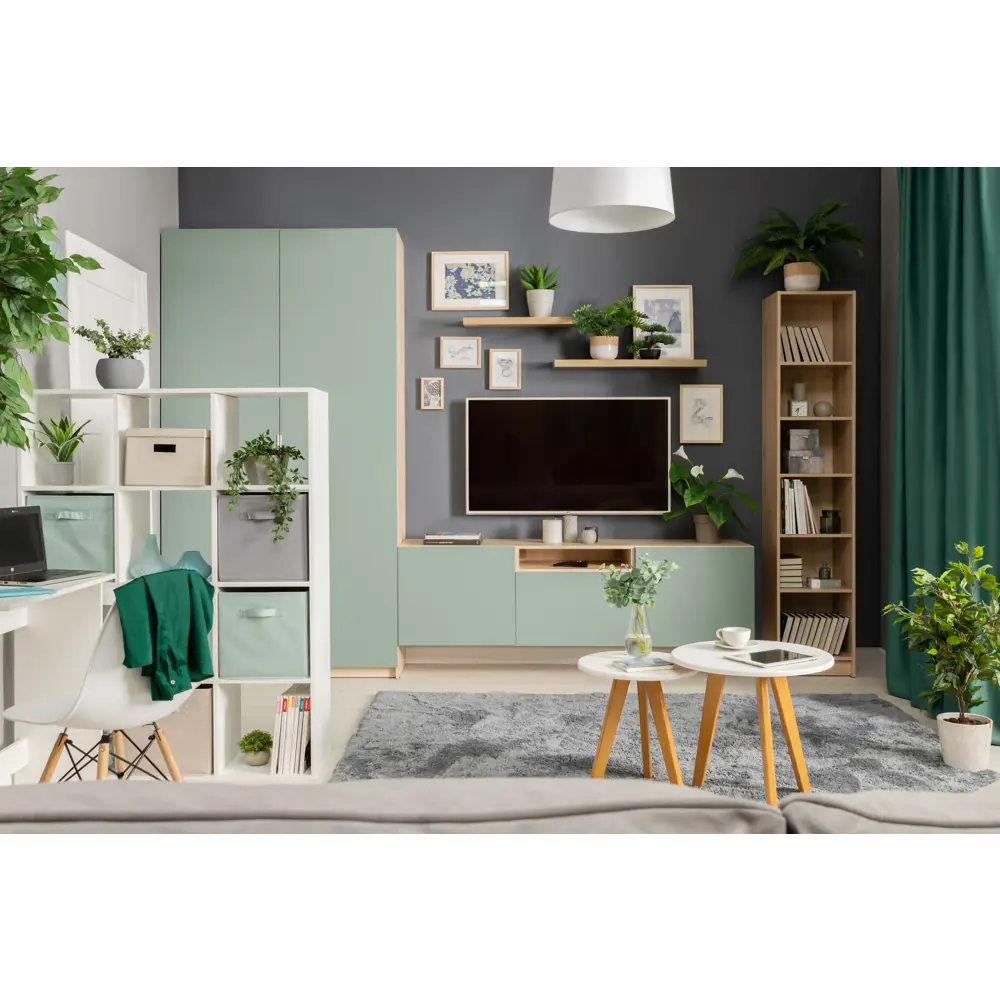 Santreyd Дверь для шкафа Лион в цвете зеленой мяты 84130505 STLM-0046580 - Вид №5