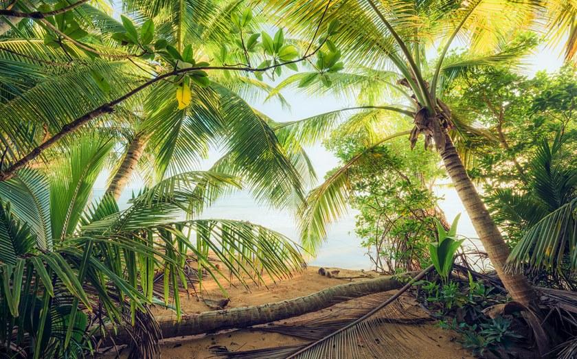 Komar Флизелиновые обои с пейзажами Wanderlust Shx9-070 - Вид №1