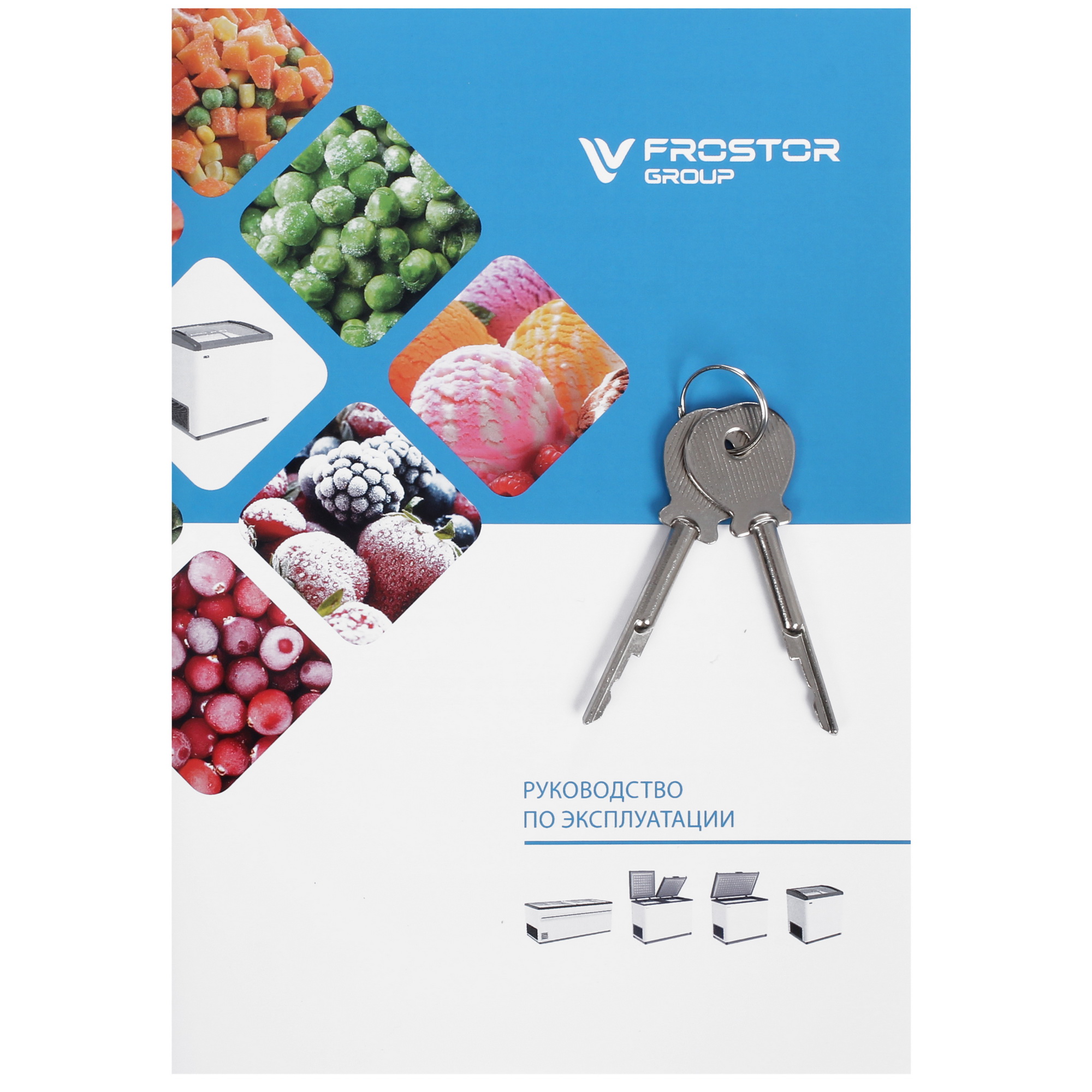 1229609 Морозильный ларь Frostor Gellar FG 475 E белый, синий STDN-0127113 - Вид №8