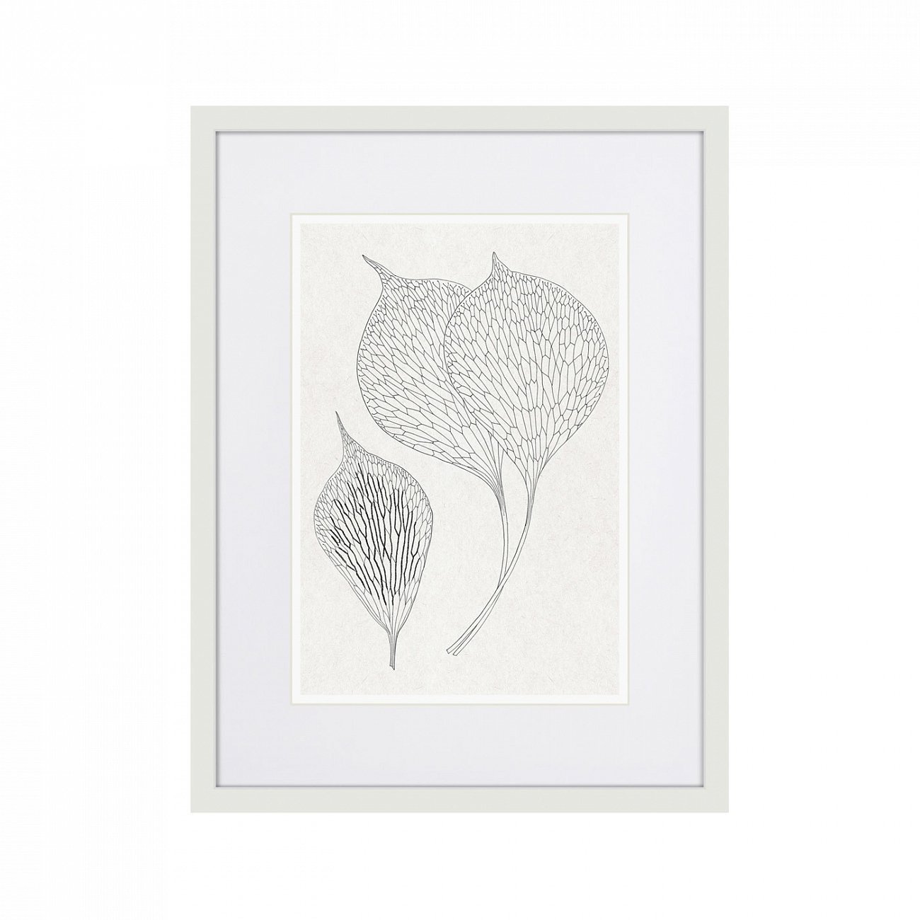 Картина белая 42х32 см The Fern Collection №2 КАРТИНЫ В КВАРТИРУ  00-3894675 Белый  - Вид №1