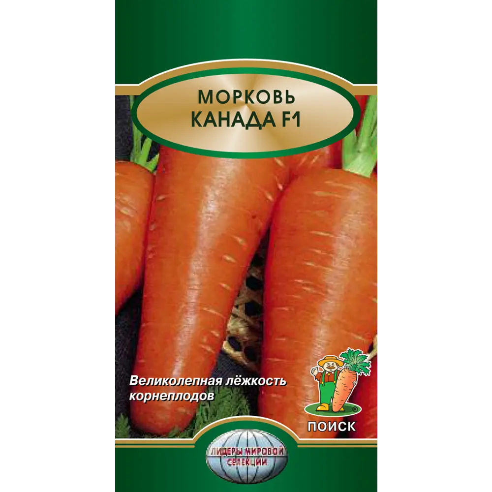 Морковь Канада F1 от ПОИСК - голландский гибрид Шантенэ 83126264 STLM-0963733