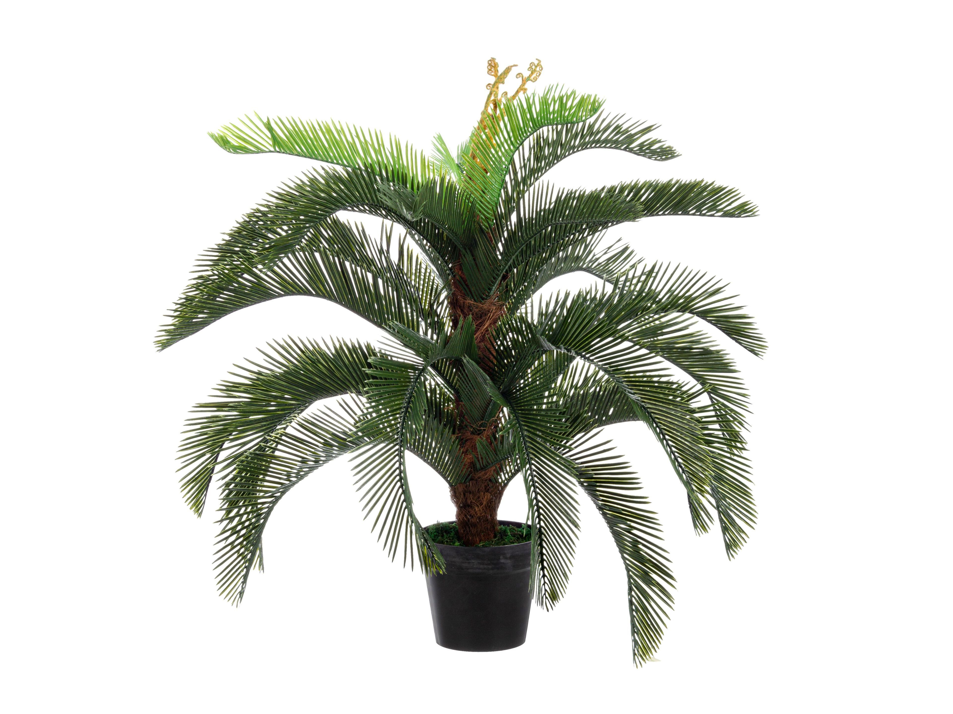 Искусственное растение BIZZOTTO PALMA CYCAS H120 ARCH-00098843 - Вид №1