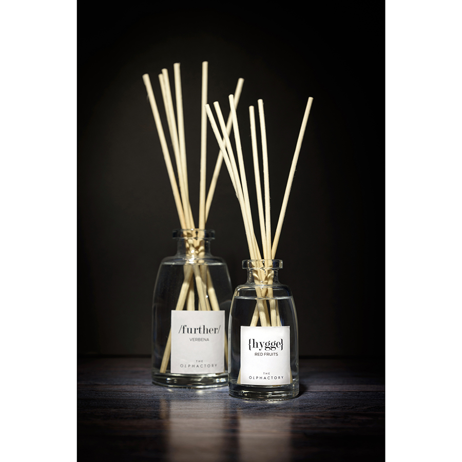Диффузор ароматический The Olphactory Further "Вербена" 250 мл AMBIENTAIR  00-3895009 Серый  - Вид №1