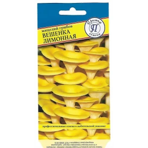 Семена Вешенка лимонная или золотая