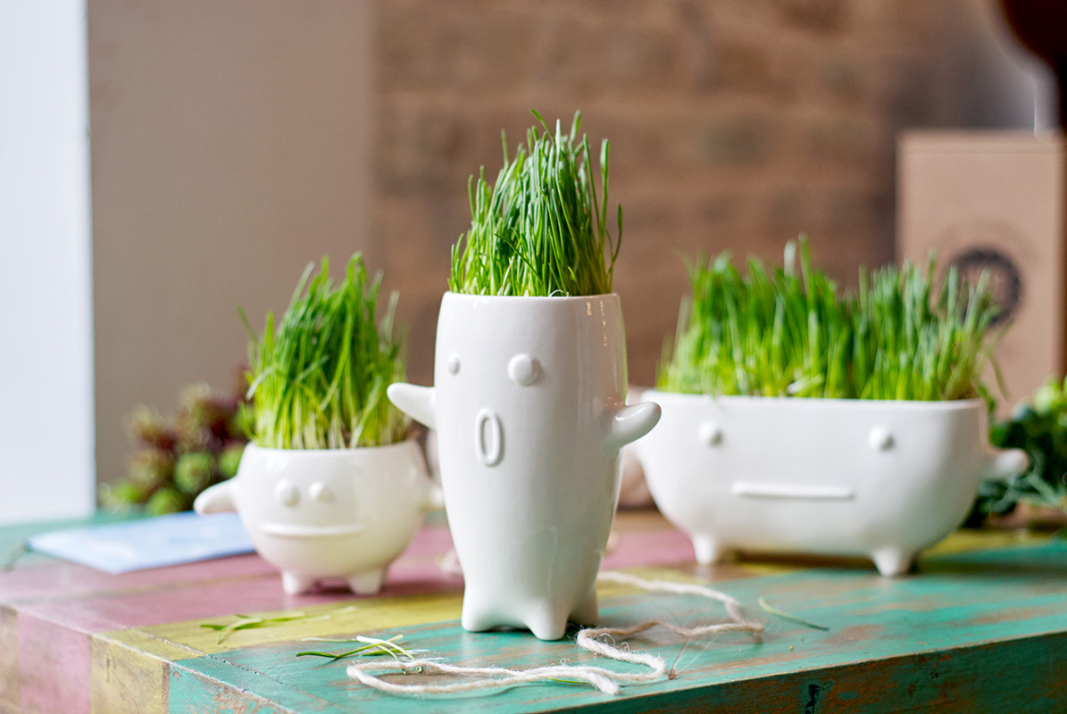 Набор для выращивания eco "Буль" ЭКОЧЕЛОВЕКИ  254568 Белый  - Вид №2