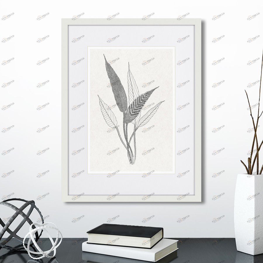 Картина в раме 42х32 см The fern collection №6 КАРТИНЫ В КВАРТИРУ  264465 Серый 