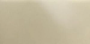 Декор олива полированная 1200x600