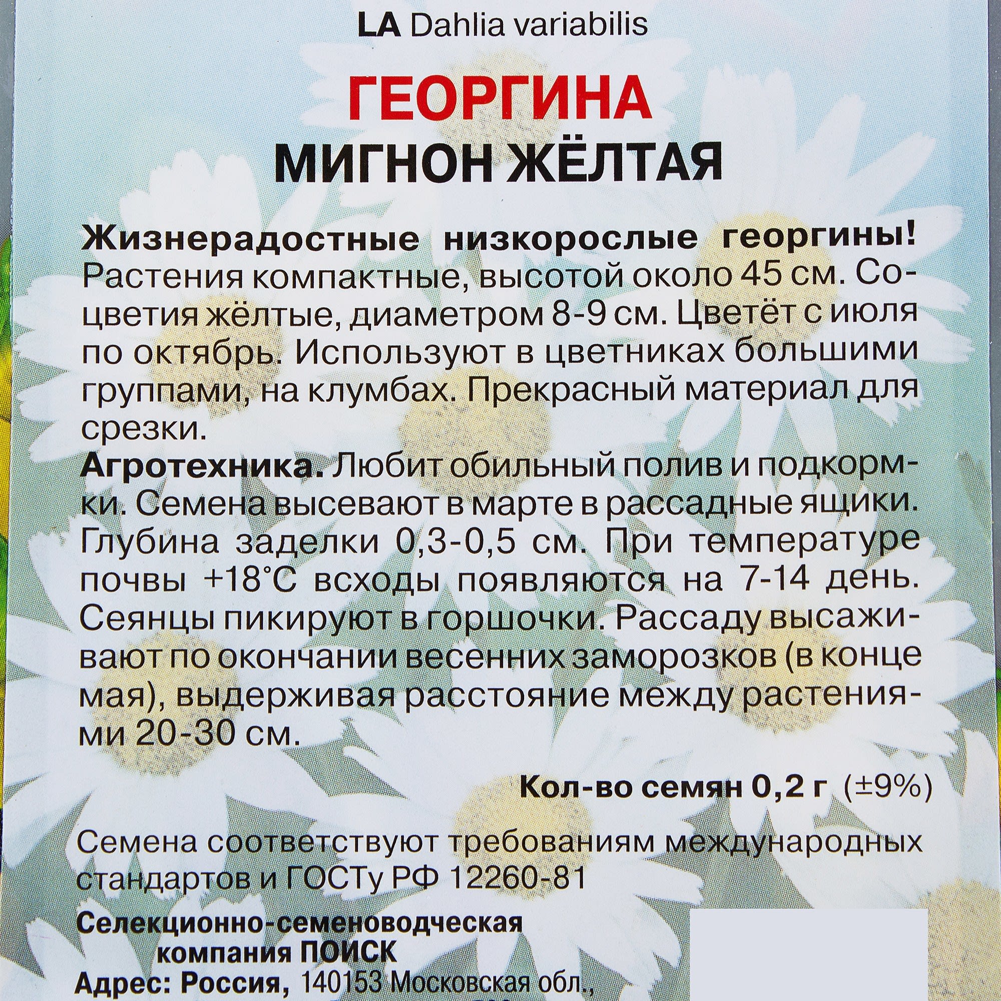 17229602 Георгина «Мигнон» цвет жёлтый Santreyd  - Вид №2