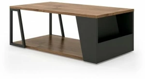 TemaHome Низкий деревянный журнальный столик с журнальной полкой Albi 9003.629938/21