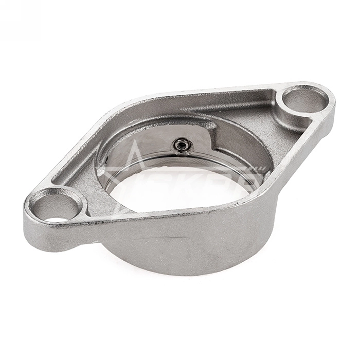 IS1897 Нержавеющий корпус подшипника FL206 SS ISKRA  - Вид №2